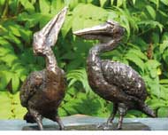 2 pelikanen